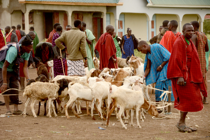 Auf dem Markt der Massai